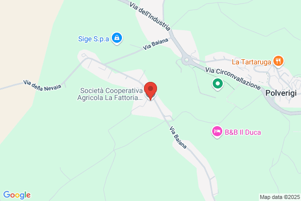 Fattorie Donzelli S.S Azienda Agricola