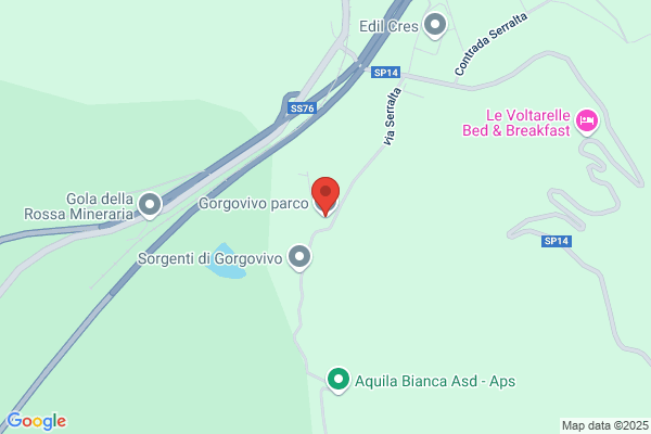 Gorgovivo Multiservizi Spa