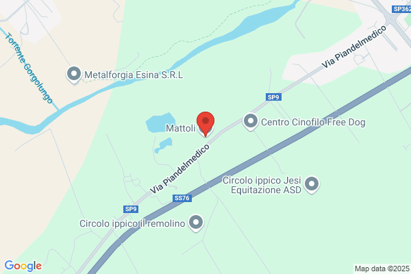 Mattoli S.R.L.