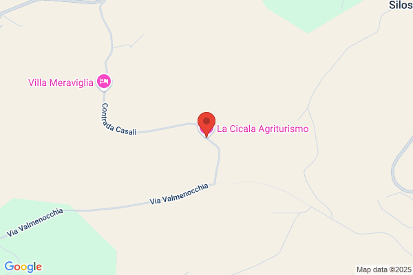 La Cicala