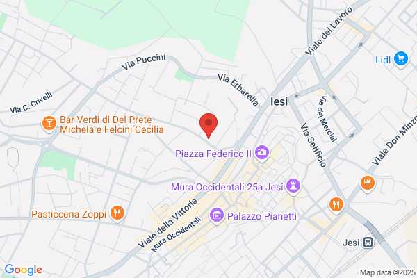 Citynet Di Bassotti, Sanchioni C. S.A.S.