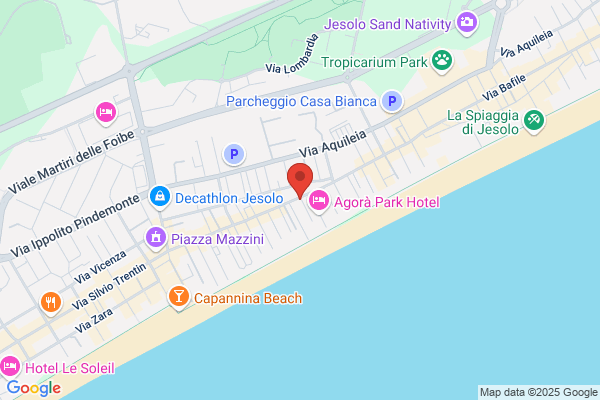 Rizzetto bruno