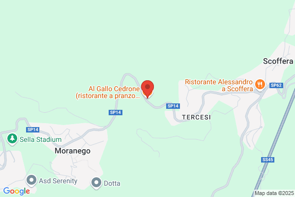 Pizzeria Ristorante Gallo Cedrone