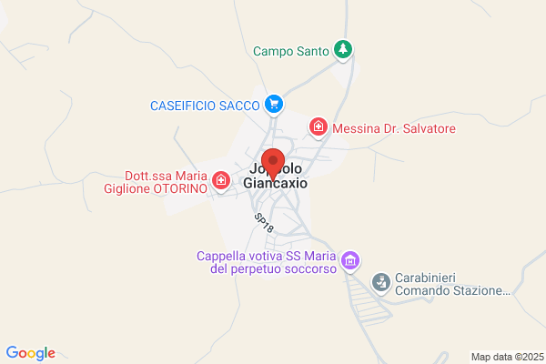 Gatto Salvatore