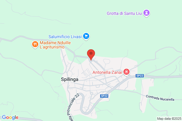 Sua Maesta' Il Porco