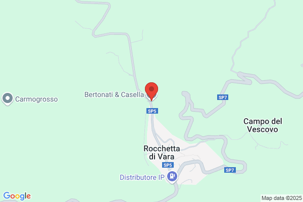 Impresa Bertonati Giulio E C. S.N.C.