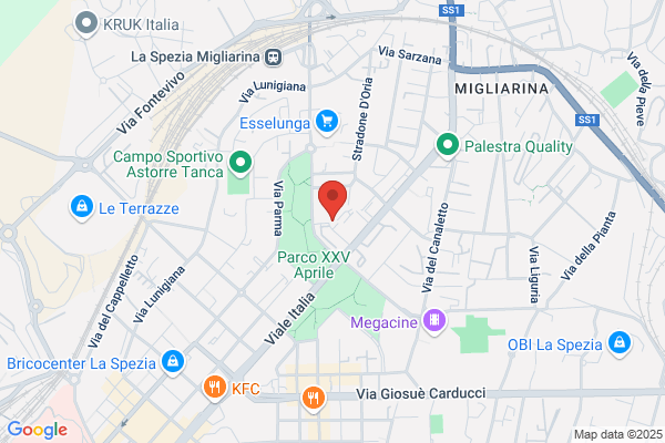 Ministero Dei Trasporti E Della Aviazione Civile Direzion/// otorizzazione Civil