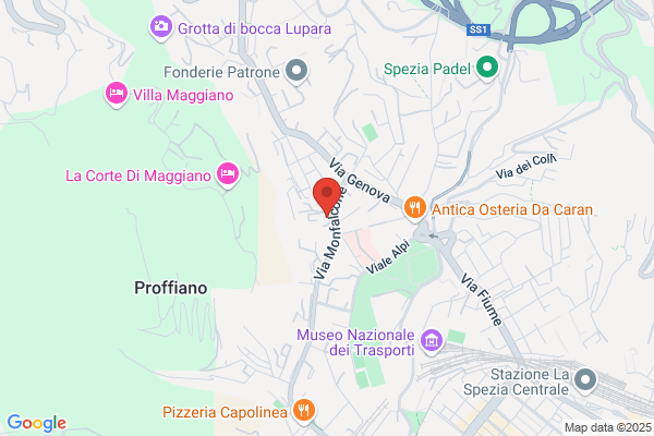 Palestra Fitness Club