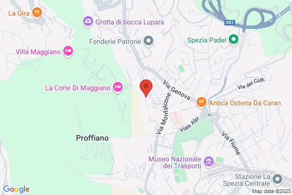 Schiffini renzo