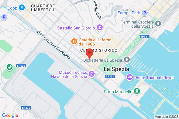 I Cigni Di Amoroso Stefano