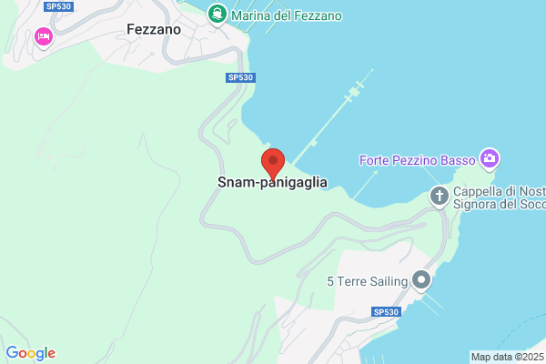 Gensini S.P.A.