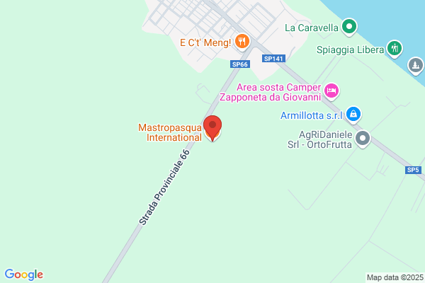 Mastropasqua Srl