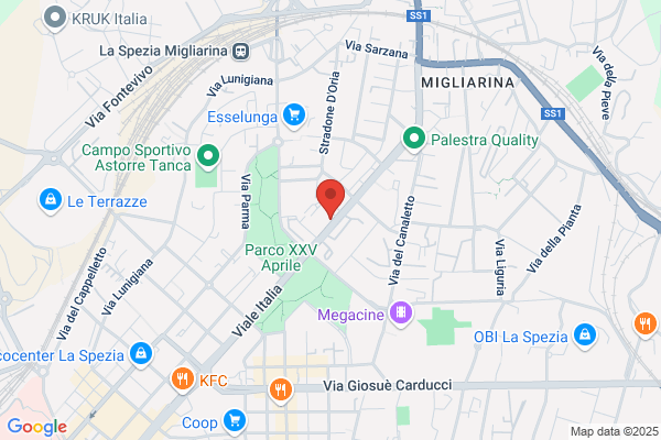 Primavisione