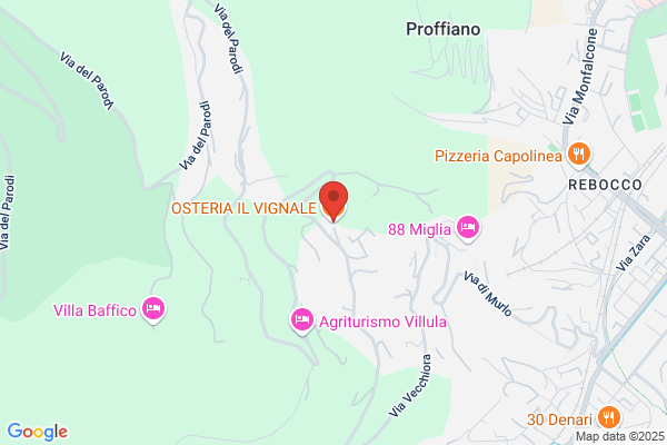 Pizzeria Il Ceppo Di Fiorini Lorenzo