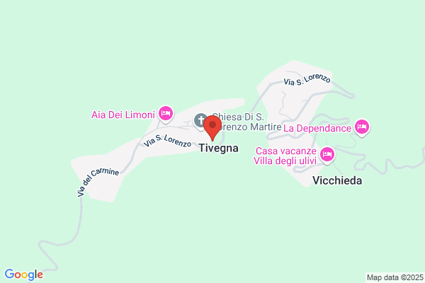 Tivegna marco