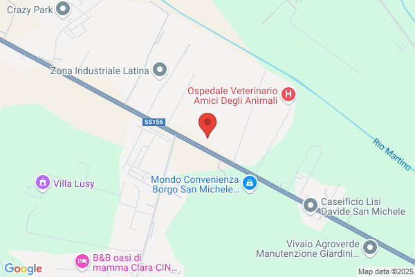 Rapid Centro Revisioni