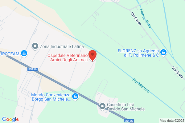 Ospedale Veterinario S. Francesco Srl