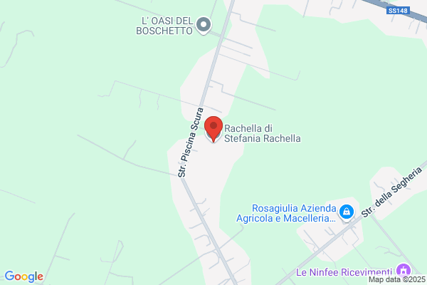 Rapacciuolo rosanna