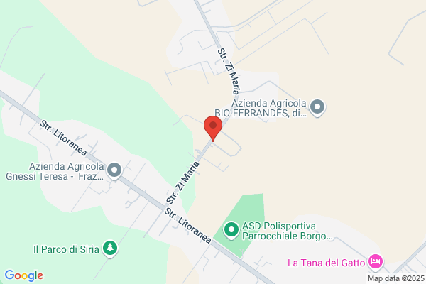 Stl Sollevamenti Latina | Noleggio Gru - Noleggio Piattaforme Aeree - Trasporti