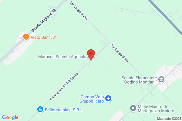 Masaracchio mariannina