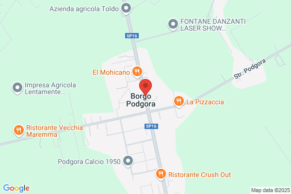 Latina Tendoni Snc