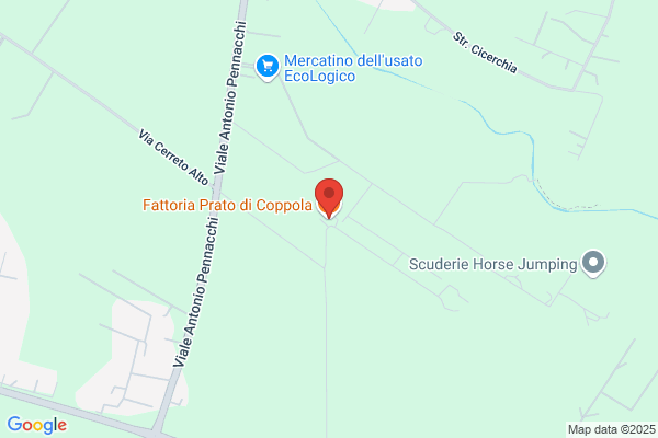 Fattoria Prato Di Coppola