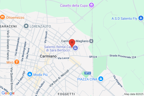 Ferrovie Del Sud Est Gestione Commissariale Governativa