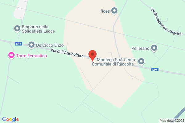 Fondazione Emmanuel Per Il Sud Del Mondo