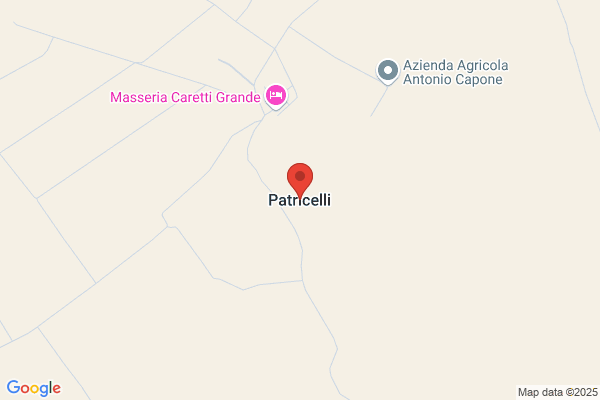 Patricelli grazia (Dr.)