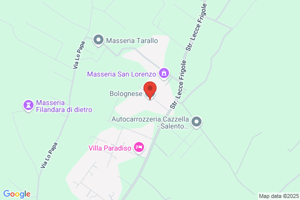 Bolognese