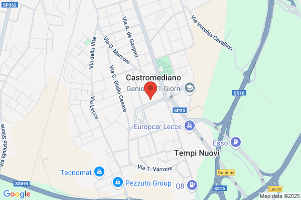 Inguscio Claudio La Salento Copiatori Claudio
