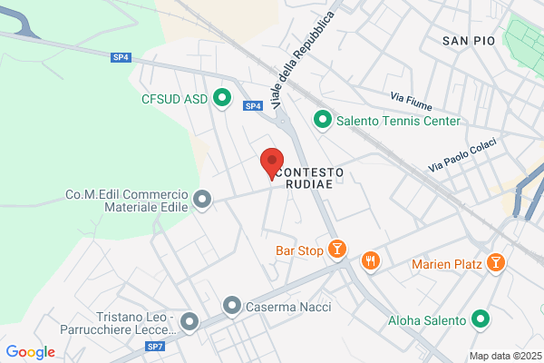 Reggio bernardino