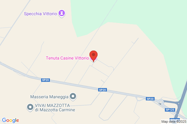 Vittorio Catering S.R.L.