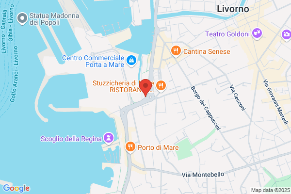 Nuova Medicea Srl