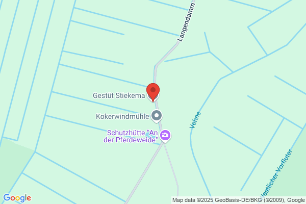Stiekema egbertus Hendericus