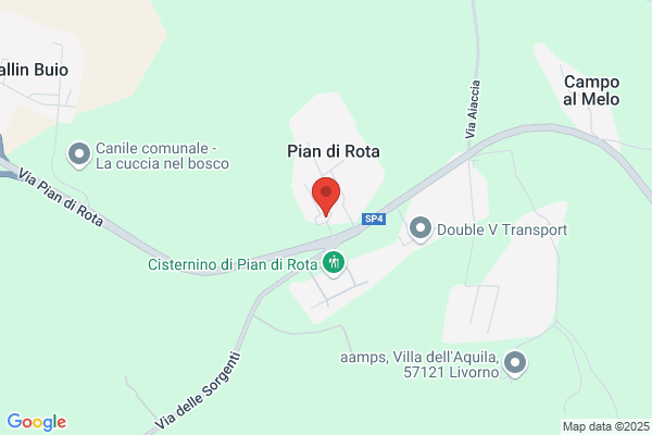 Venuta dora