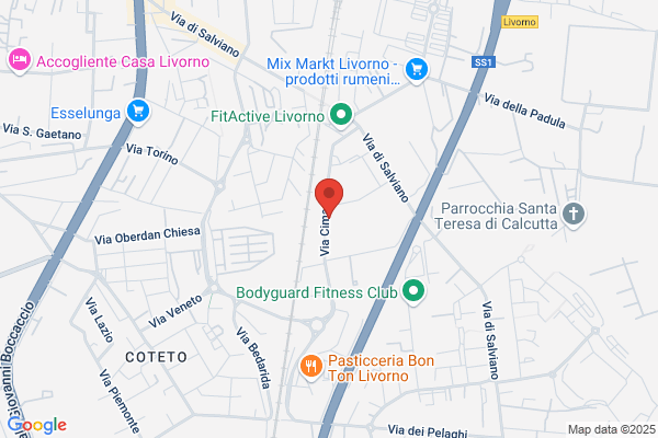 Federazione Italiana Della Caccia