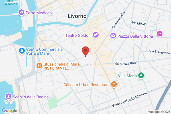 Palestra New Gym Club Center Di Sassetti Cinzia