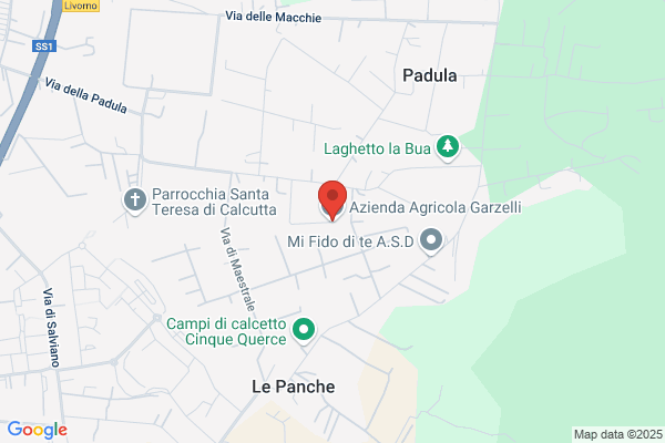 Garzelli Lorenzo
