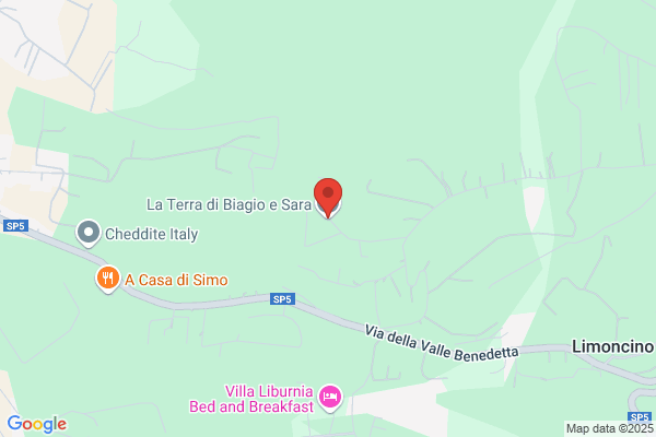 Tramonti ilio (Rag.)