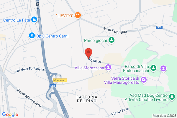 Pantano fabio