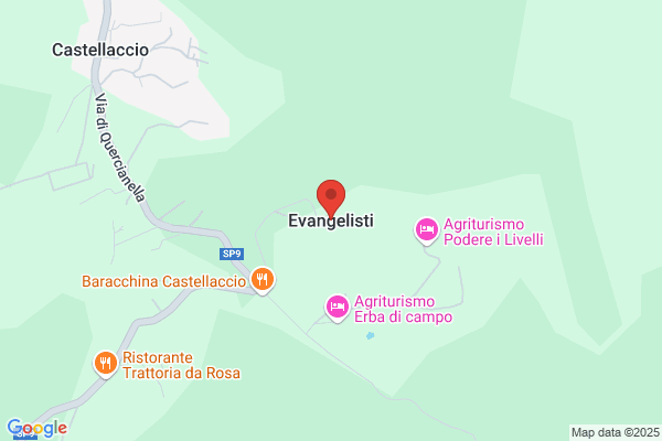Evangelisti Ilio