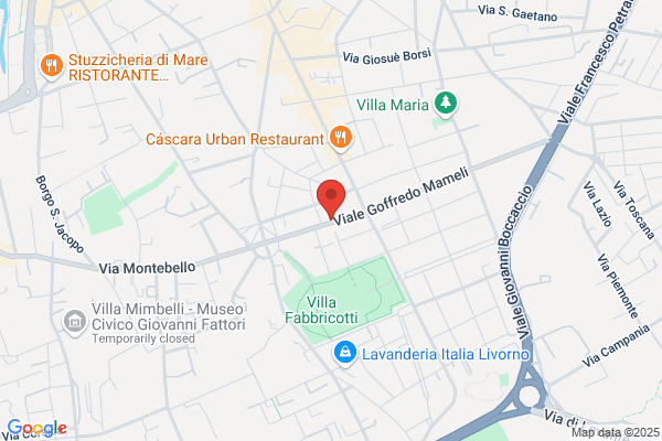 Fiore Si Di Romanelli Laura