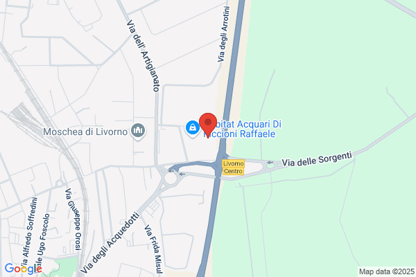 Impresa di Pulizia Ladywash