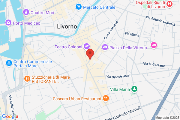 Libreria Amedeo Nuova