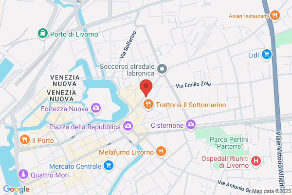 Partito Democratici Di Sinistra