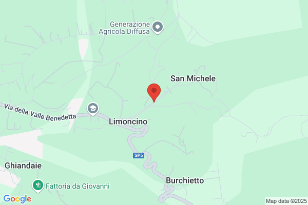 Galasso Remo