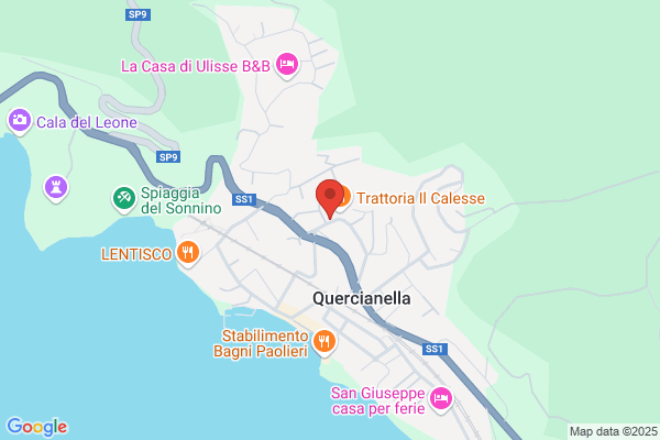 Pizzeria Ireale