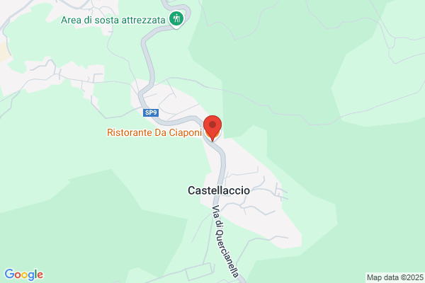 Ristorante Pizzeria da Ciaponi