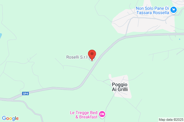 Rosselli luigi